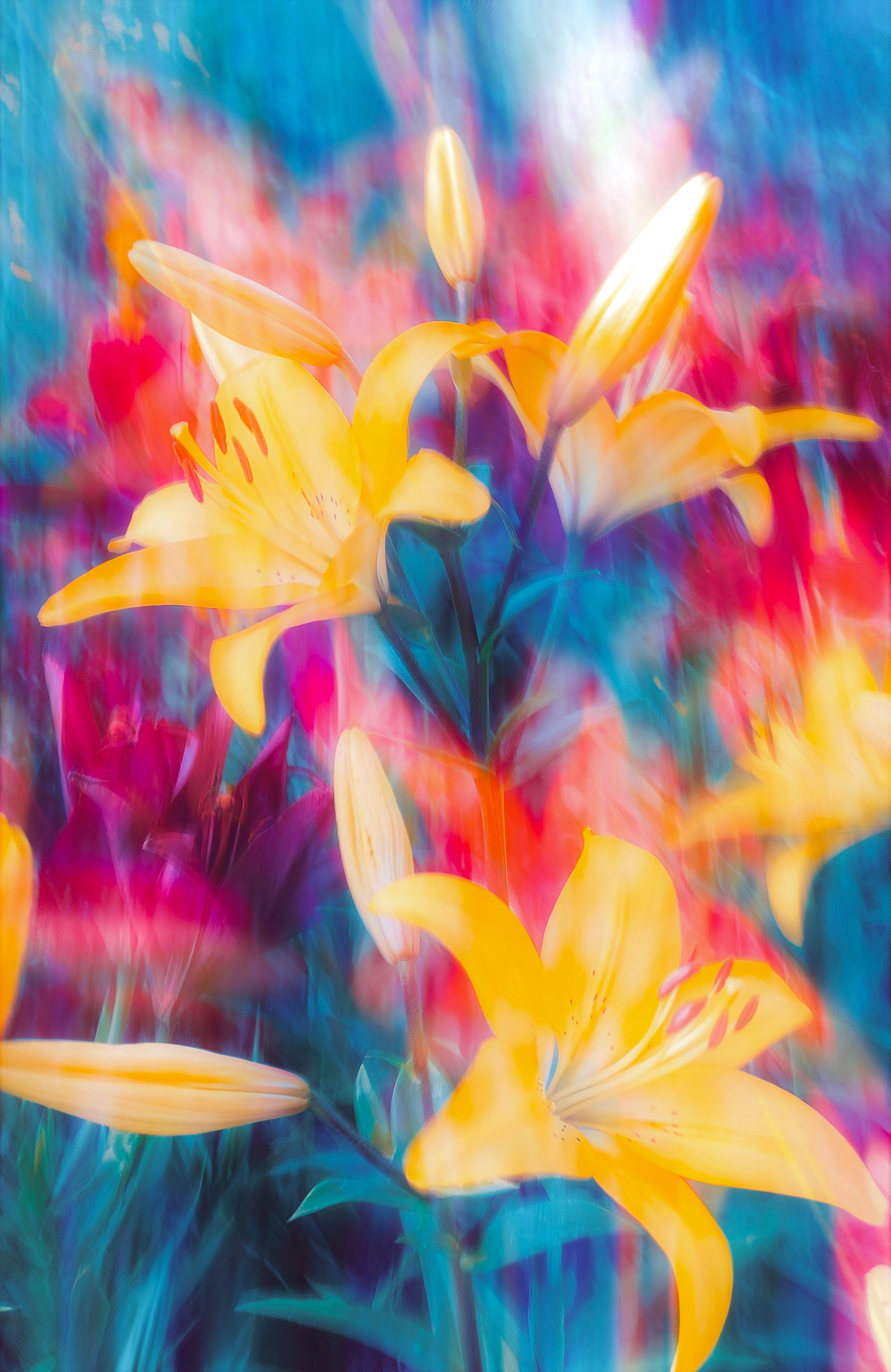 Colorful abstract capture of yellow lilies with a dreamy, artistic effect.