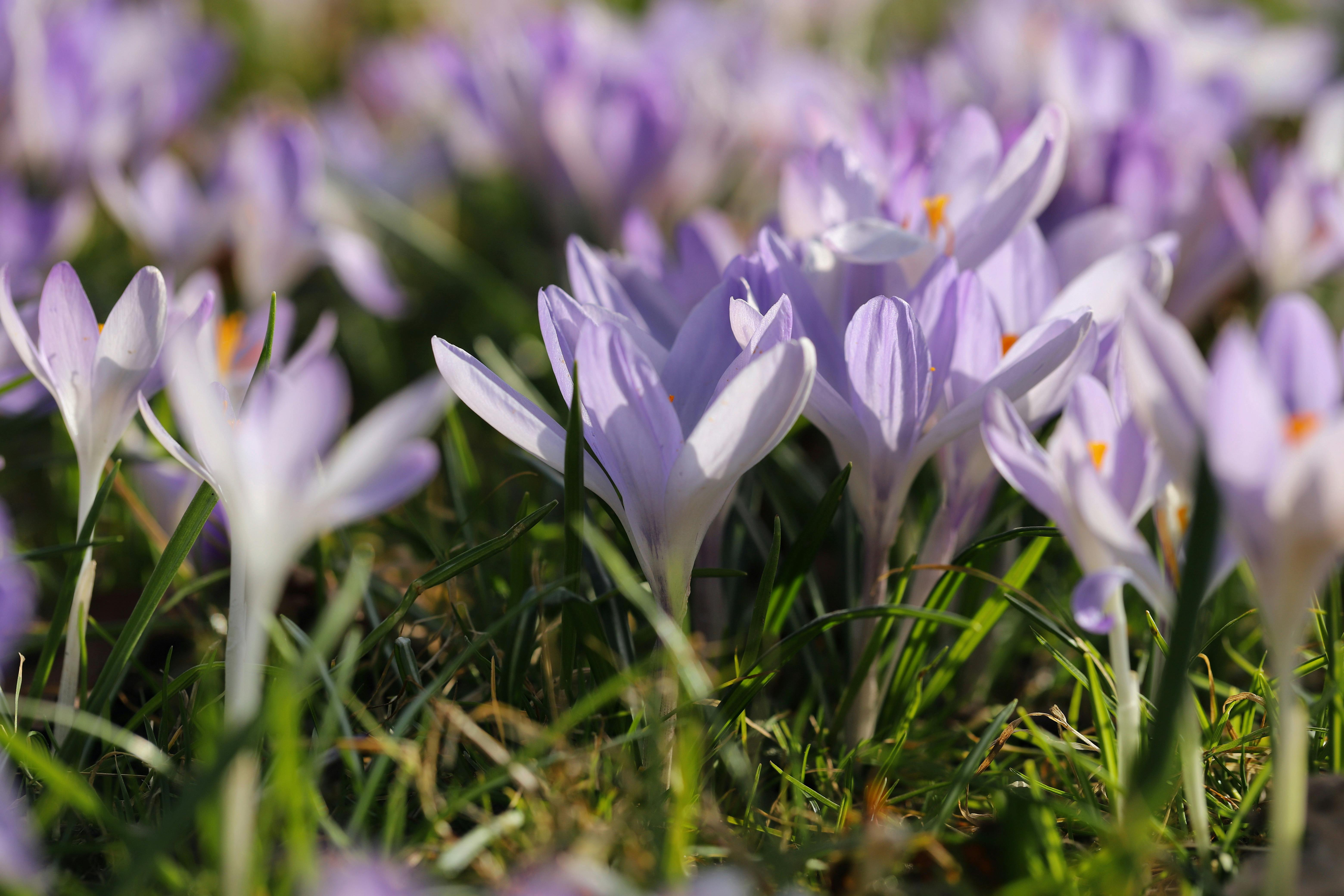 Spring into self-care: Local specialists encourage mothers to prioritize wellness during Mental Health Awareness Month — Phot