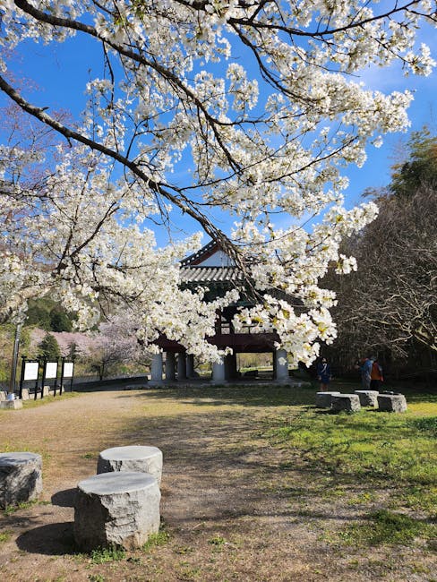 광주 관광