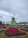 Vibrant Windmill Garden in Gwangju with Blooming Flowers
