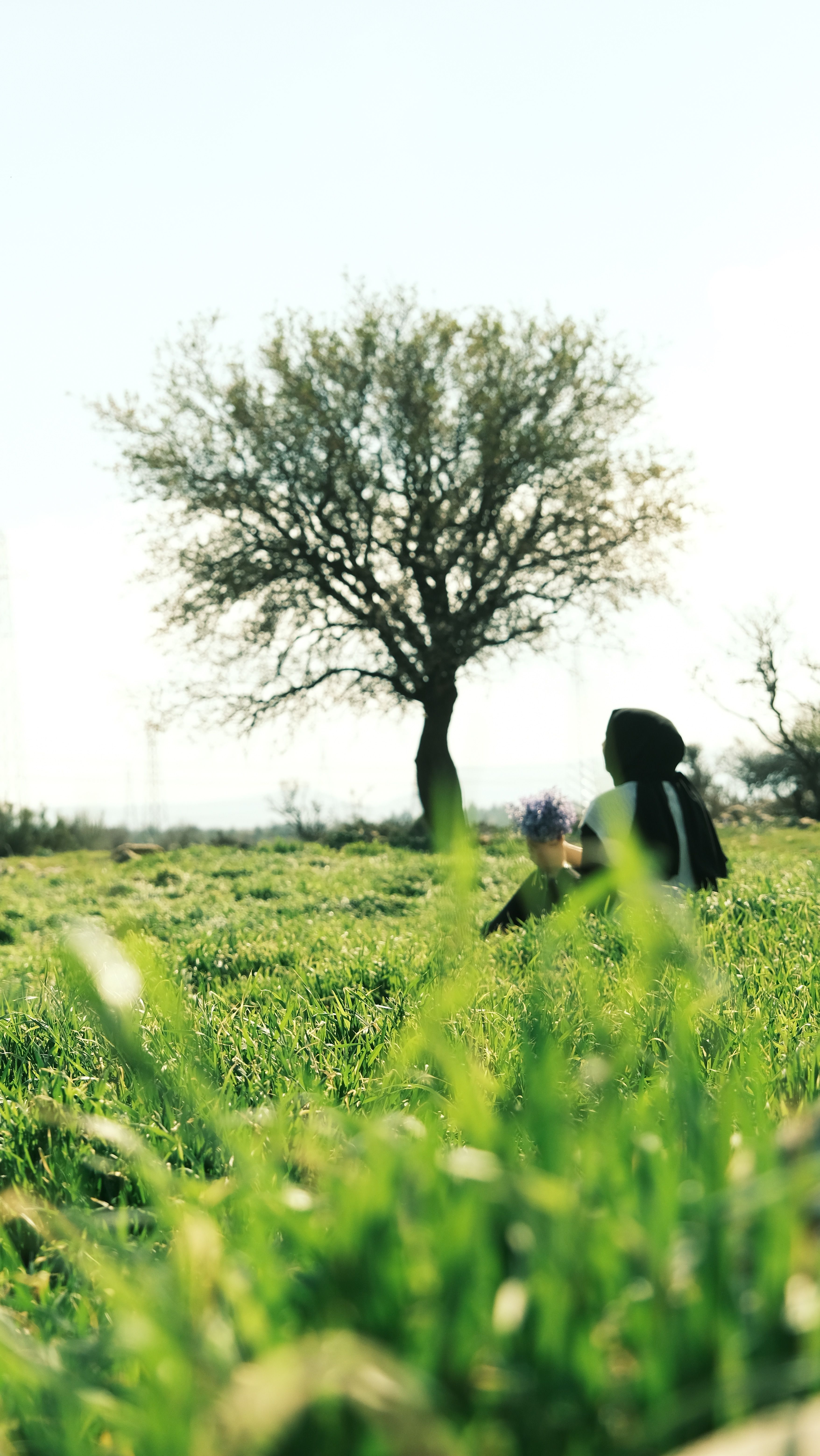 Woman relaxing in a grassy field under a tree on a bright spring day.