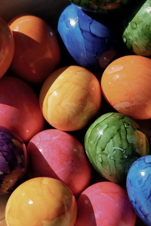 Free Vibrant dyed Easter eggs basking in the warm spring sunlight. Stock Photo