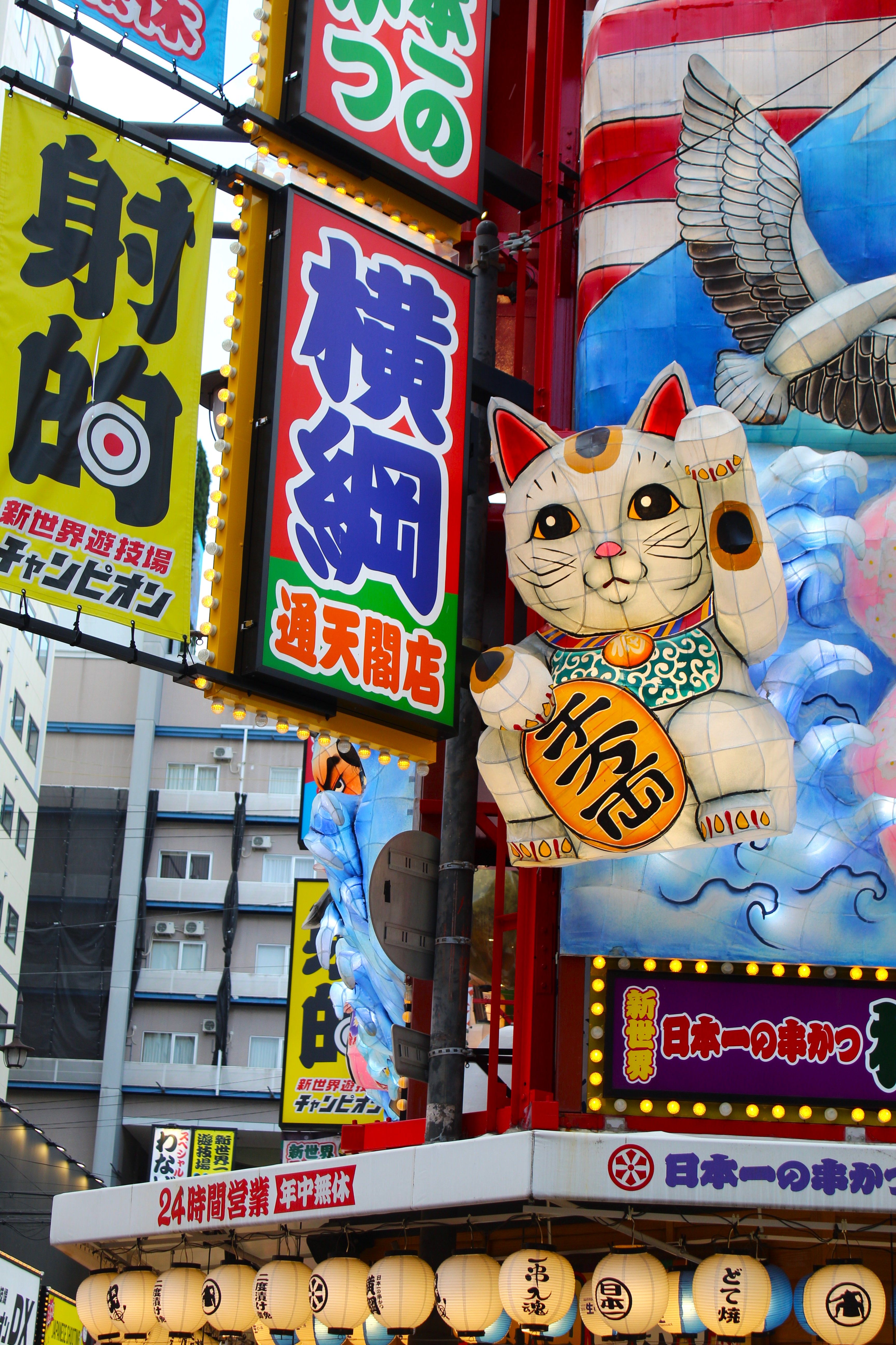 Colorful Maneki-neko and Signs in Osaka Street · Free Stock Photo