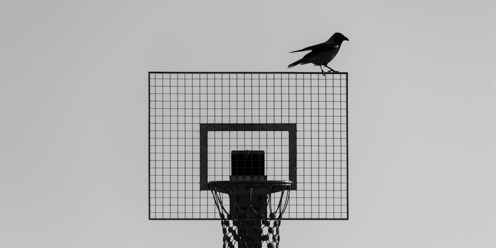 Khám Phá Tiềm Năng Bậc Nhất của go99 khuyen mai khung - Cổng Trải Nghiệm Giải Trí Tuyệt Vời