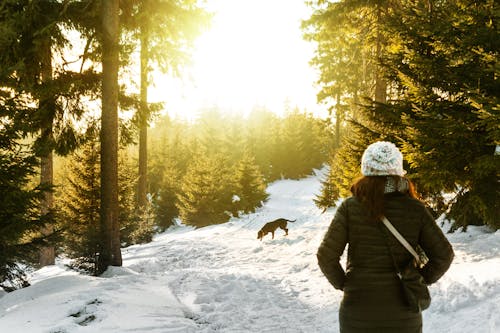 Free Rear View of Woman in Snow Covered Forest Stock Photo