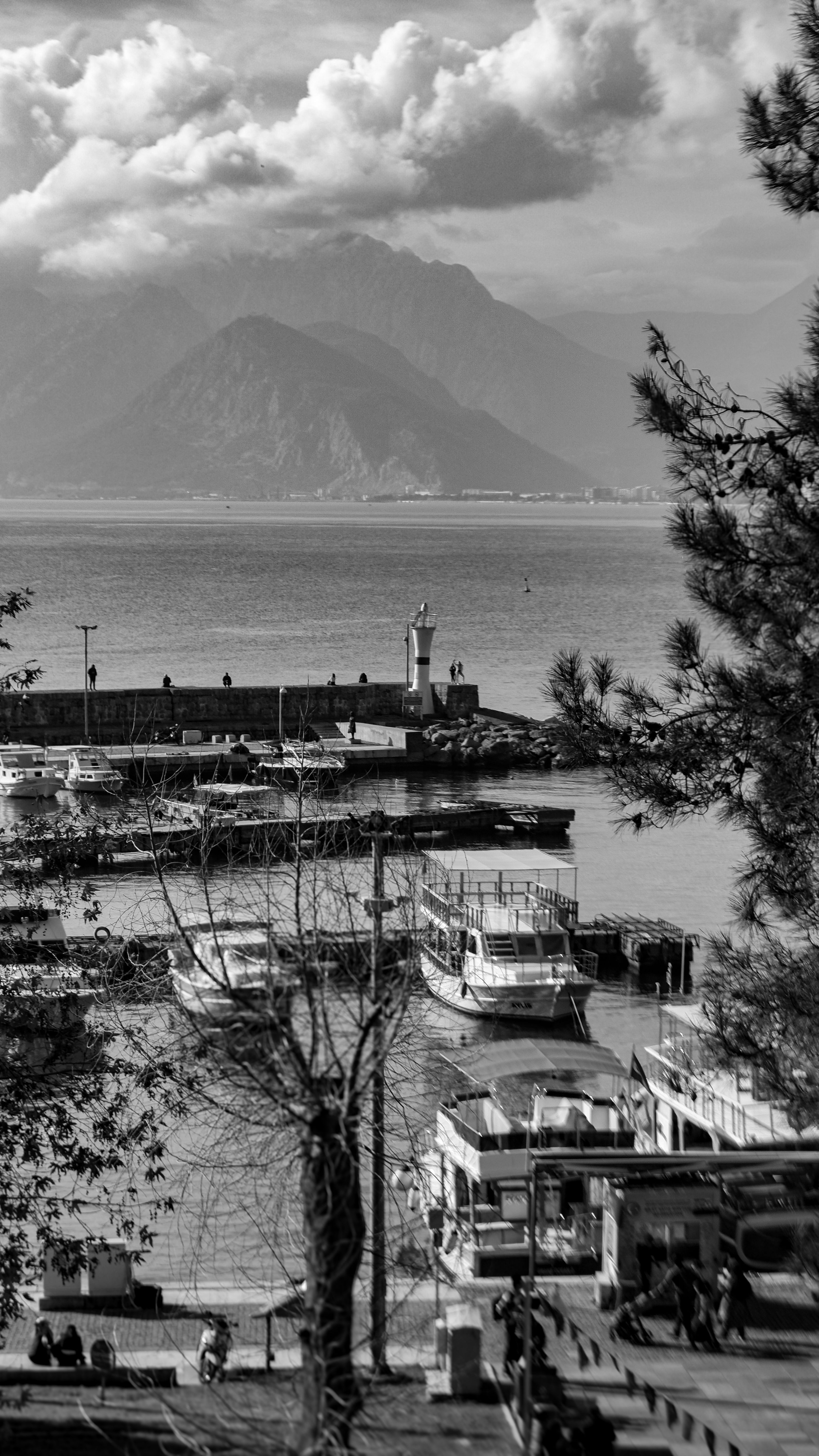 Dramatic black and white photo of a serene harbor with boats and distant mountains.