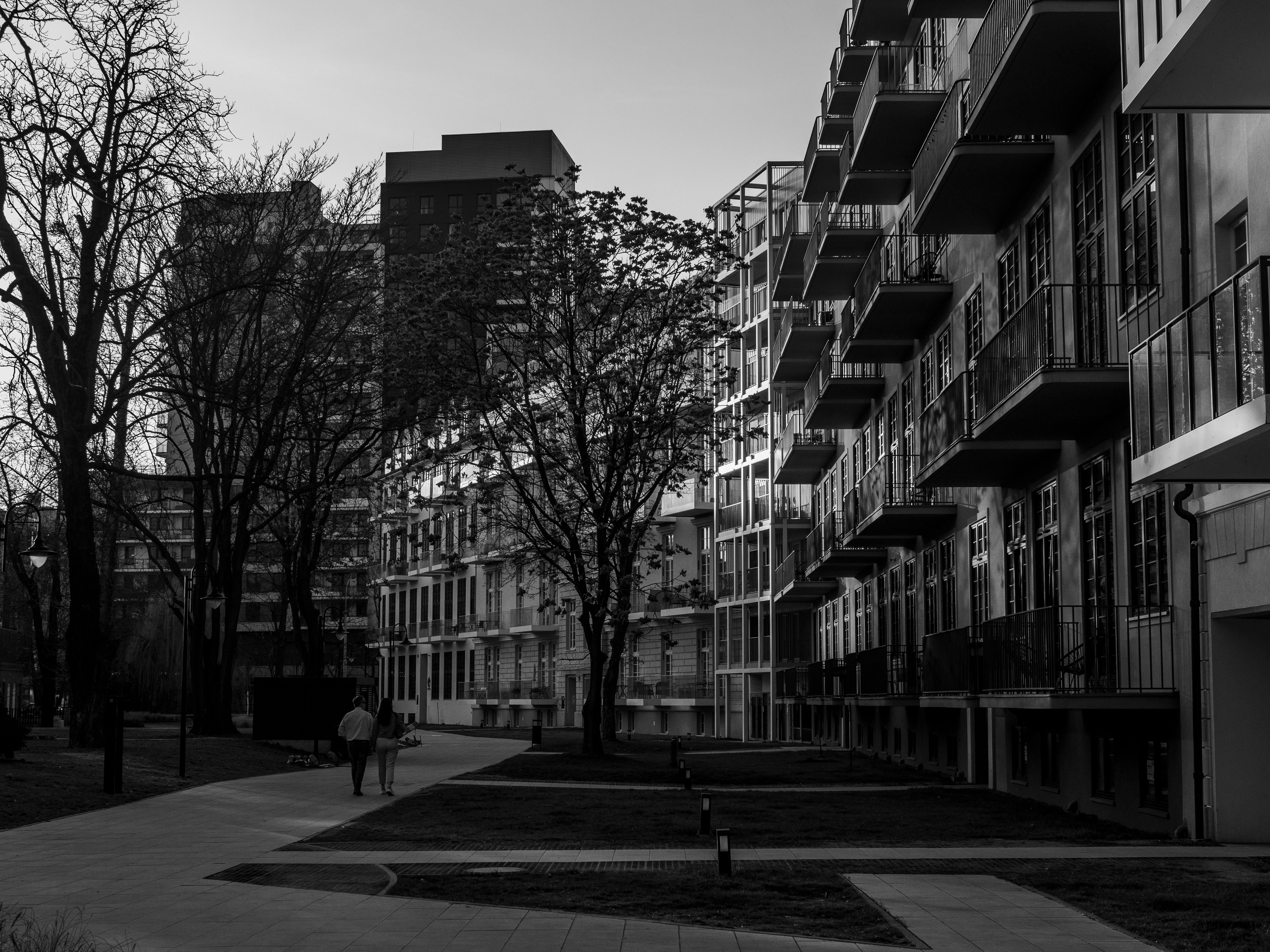 Black and White Urban Cityscape at Twilight · Free Stock Photo