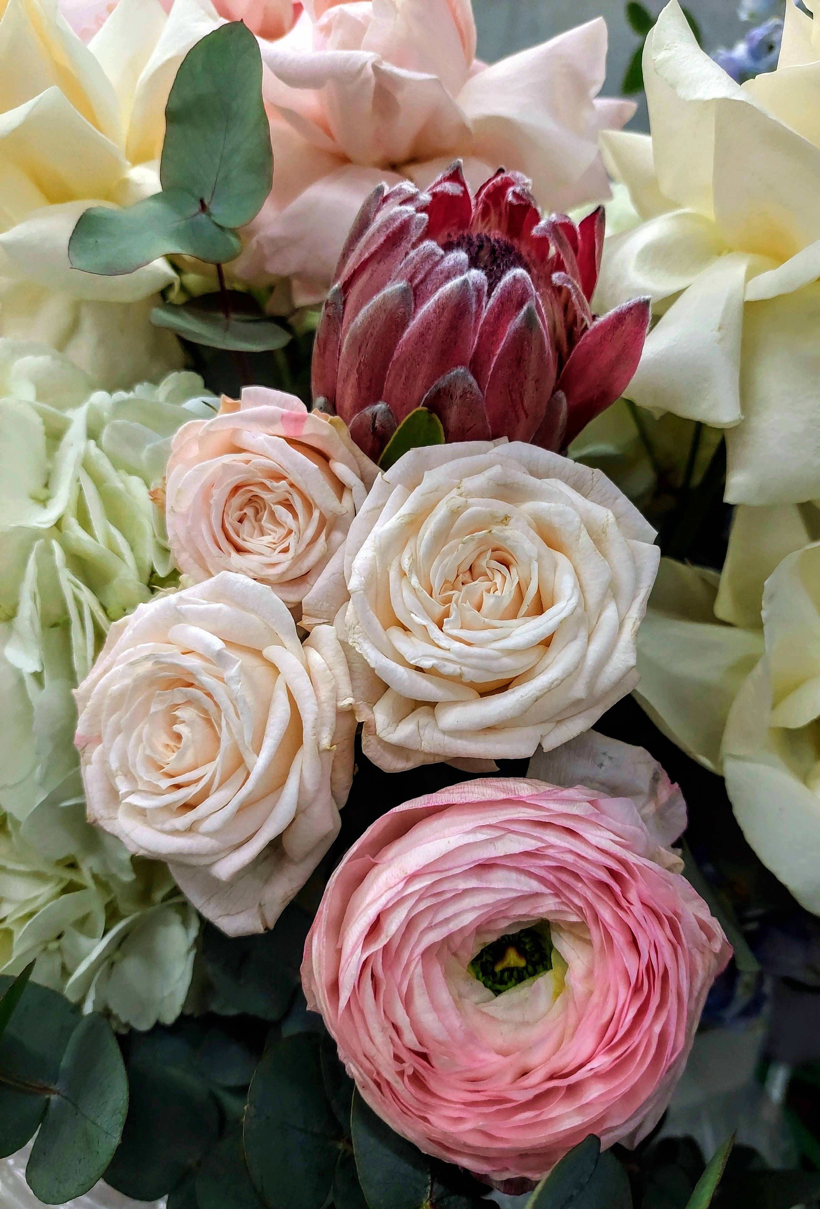 Vibrant Floral Arrangement with King Protea and Roses · Free Stock Photo
