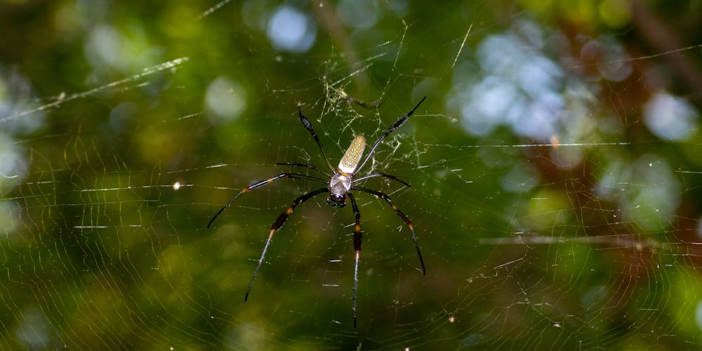 Chiến thắng đáng nhớ tại Web Hitclub - Câu chuyện về những khoảnh khắc đáng giá