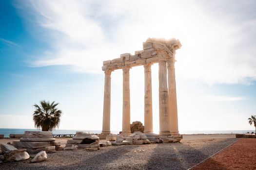Palmyra, Syria photo 13