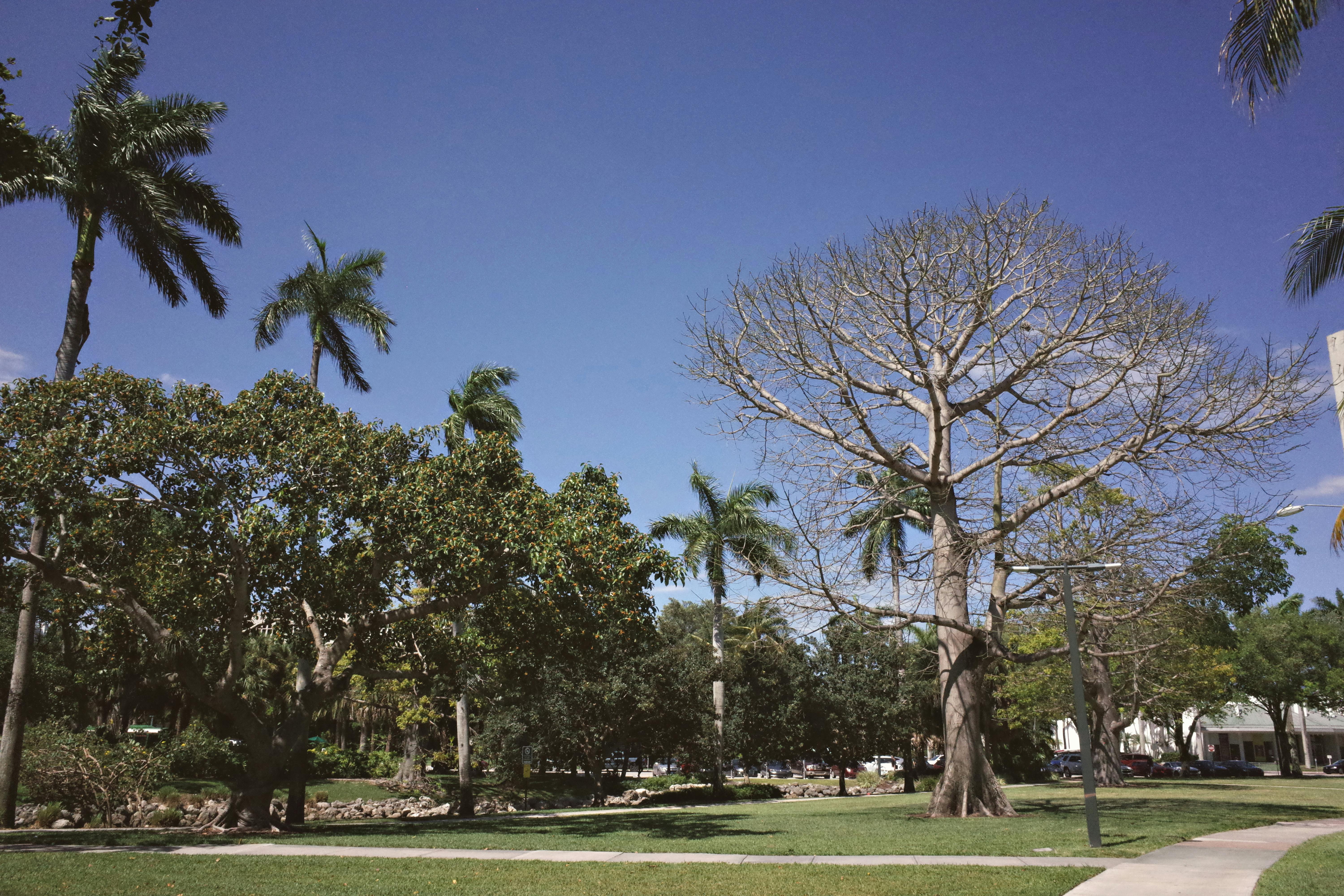 校園開放日活動現場