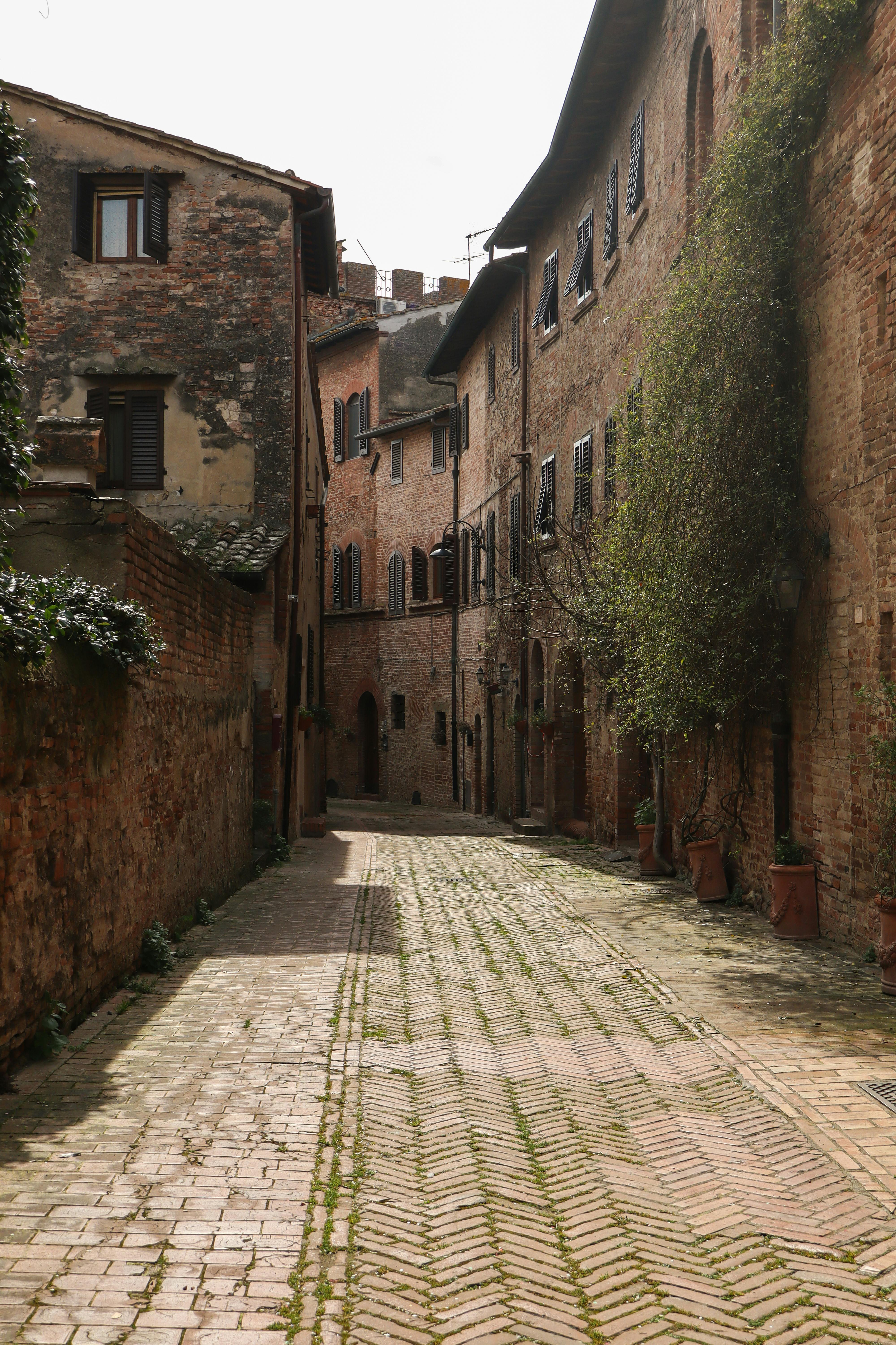 Street in Tuscan village, Cortona area