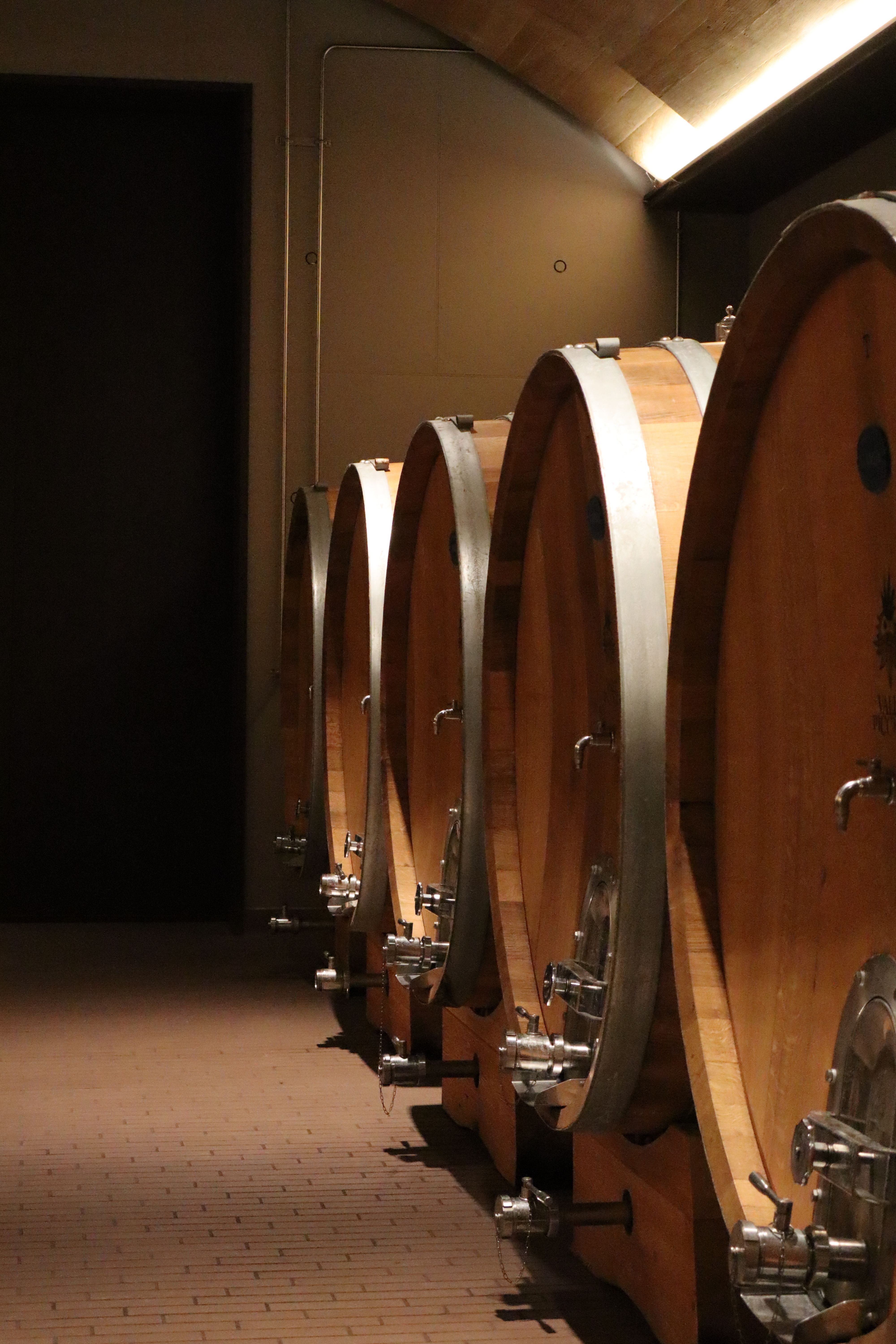 Oak barrels in a cellar