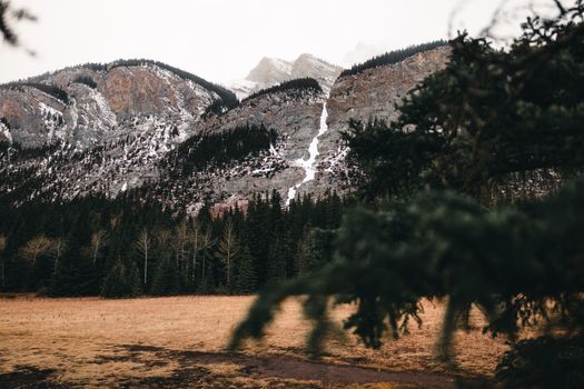 Majestic snowy mountains and dense forests in Banff National Park, Alberta.