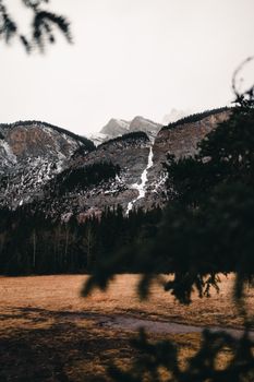 A serene landscape featuring mountains and forest in Banff, Alberta, Canada.