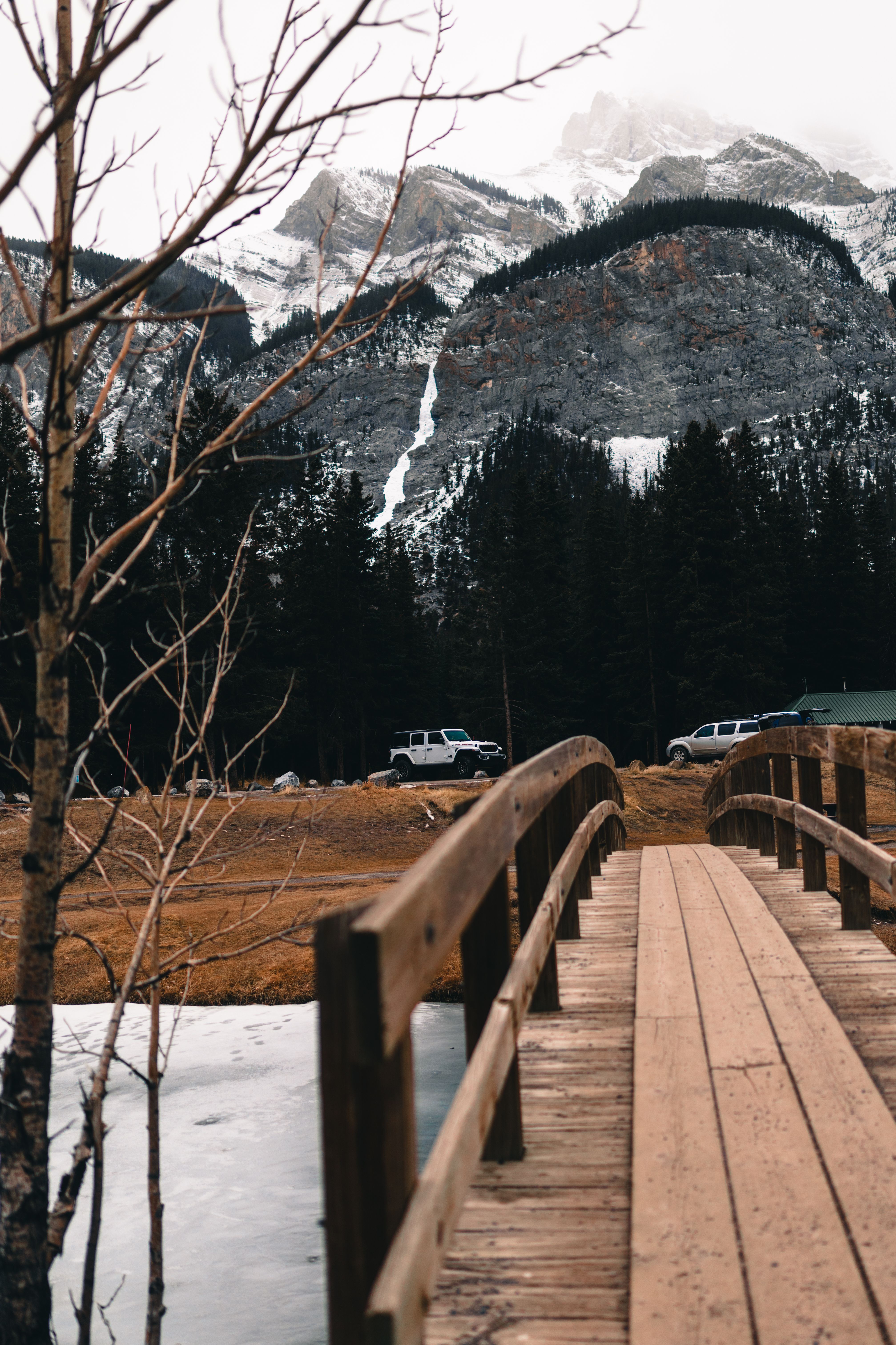 Rustic Bridge Over Scenic Canadian Wilderness · Free Stock Photo