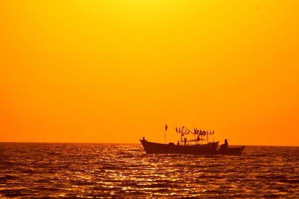 Gujarat Dwarka Somnath Statue of Unity Tour Package - Activity & Sightseeing