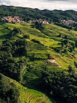 A breathtaking view of terraced rice fields cascading down a lush green mountain under a cloudy sky.