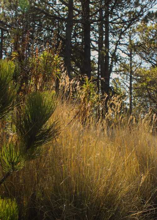 Free stock photo of adventure, atardecer, chill Stock Photo