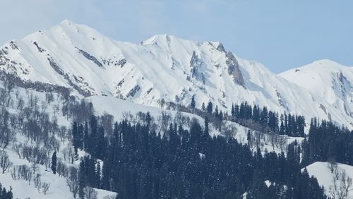 Free Beautiful snow-covered mountains and forests in Sonamarg during winter. Stock Photo