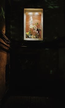 从桑特-彼得堡一扇光线昏暗的窗户里，可以看到室内明亮的花朵