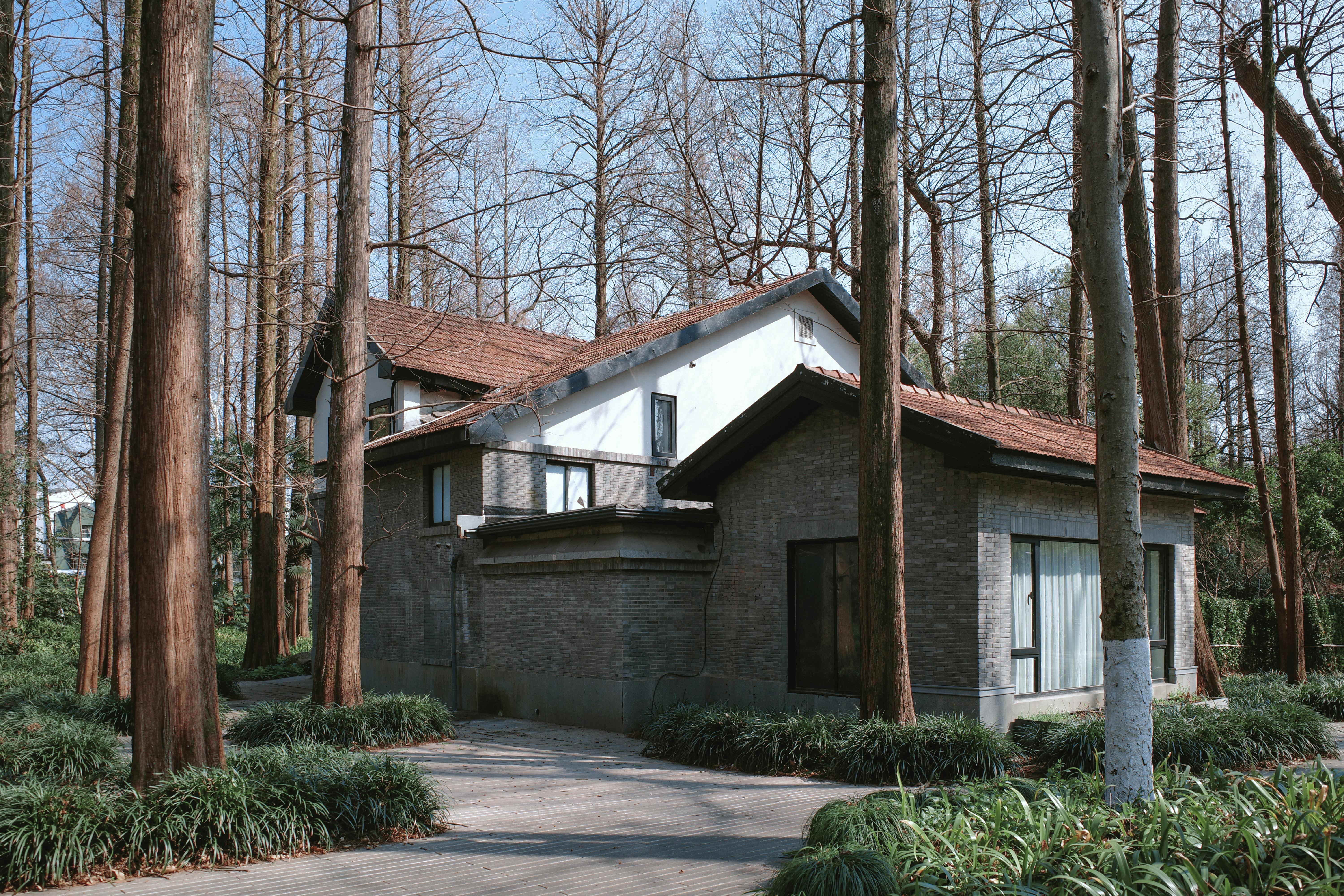 Une maison confortable nichée dans un bosquet serein de grands arbres, évoquant la tranquillité et la paix.