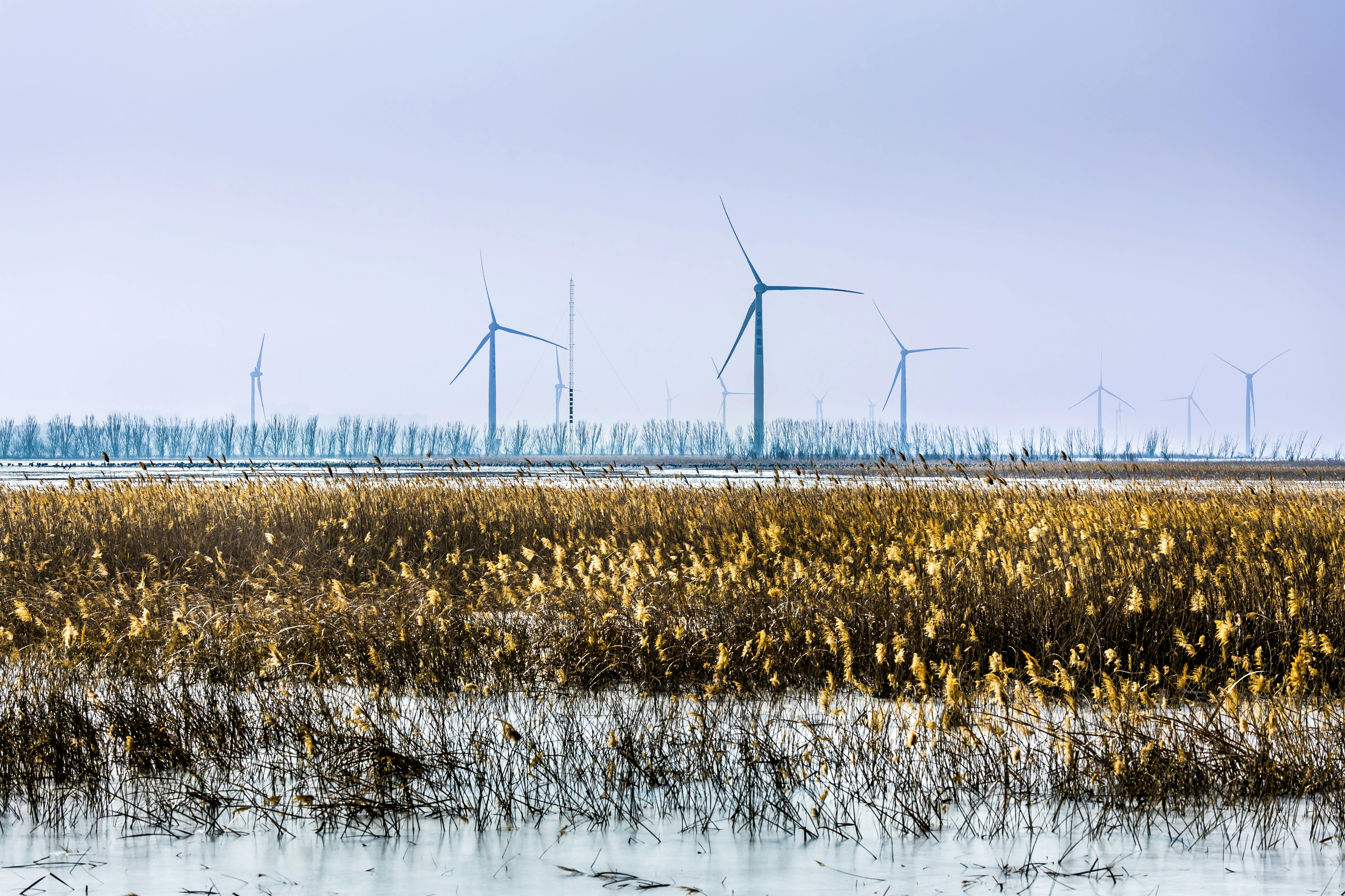 Green growth and sustainable energy transitions: evaluating the critical role of technology, resource efficiency, and innovat