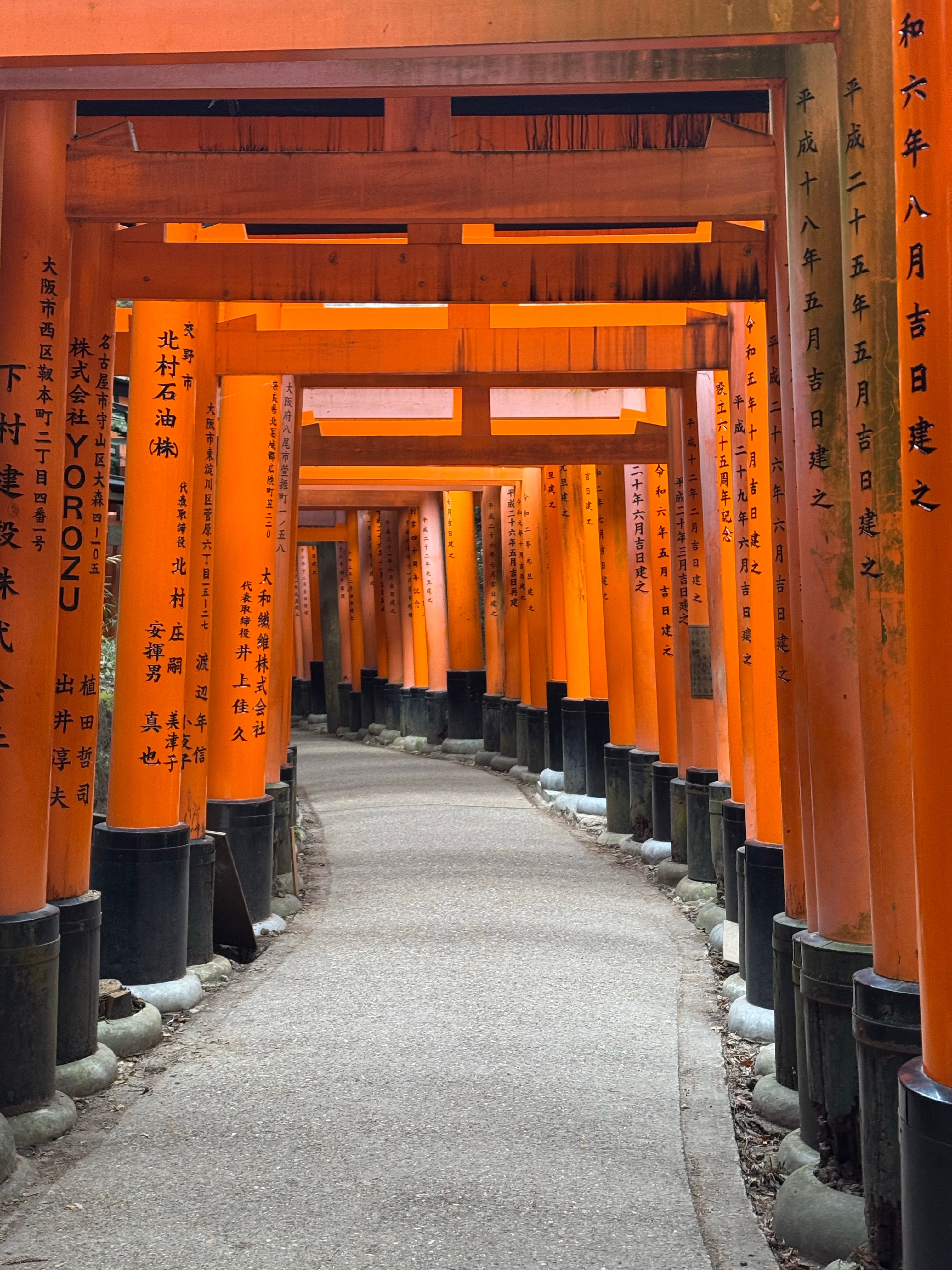 Enchanting Pathway through Fushimi Inari Shrine · Free Stock Photo