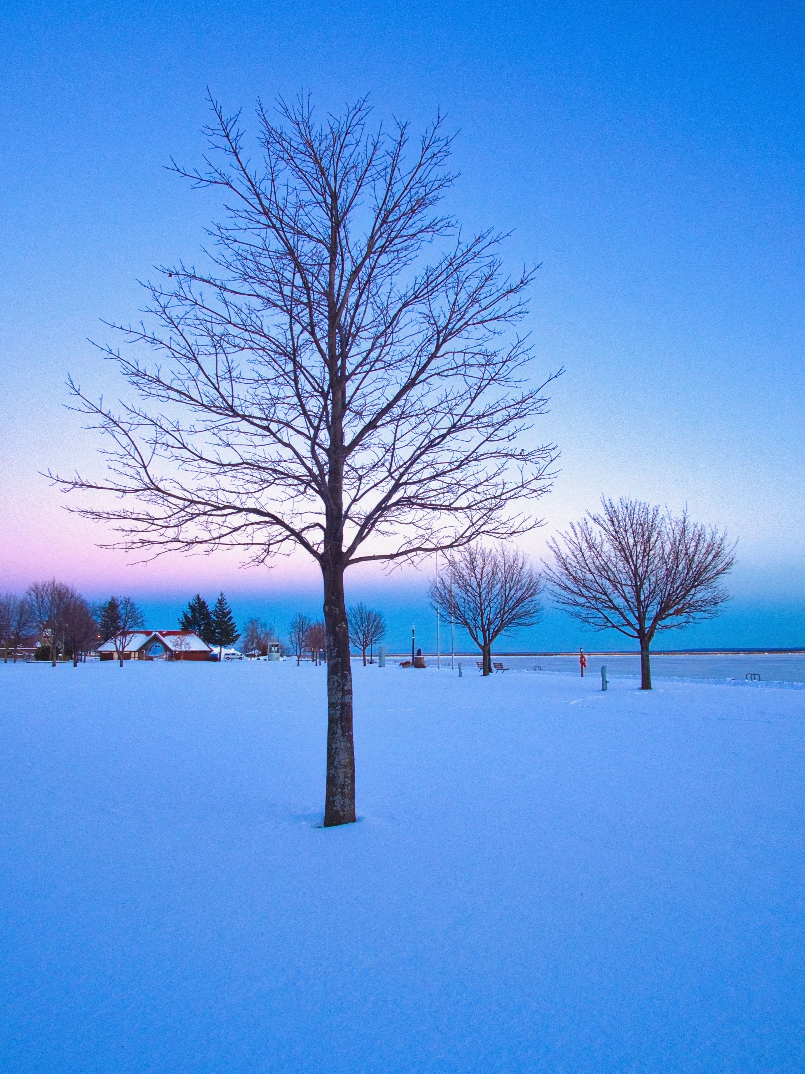 Free stock photo of cold, gradient, ice - Stock Image - Everypixel