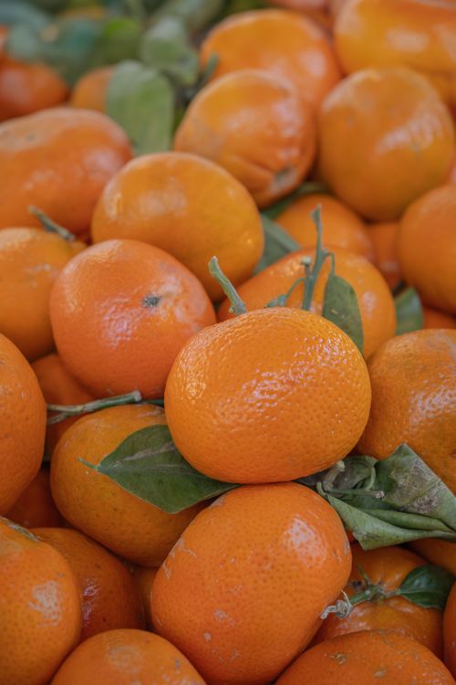 Free A close-up shot of ripe, organic tangerines with leaves, highlighting their vibrant freshness. Stock Photo