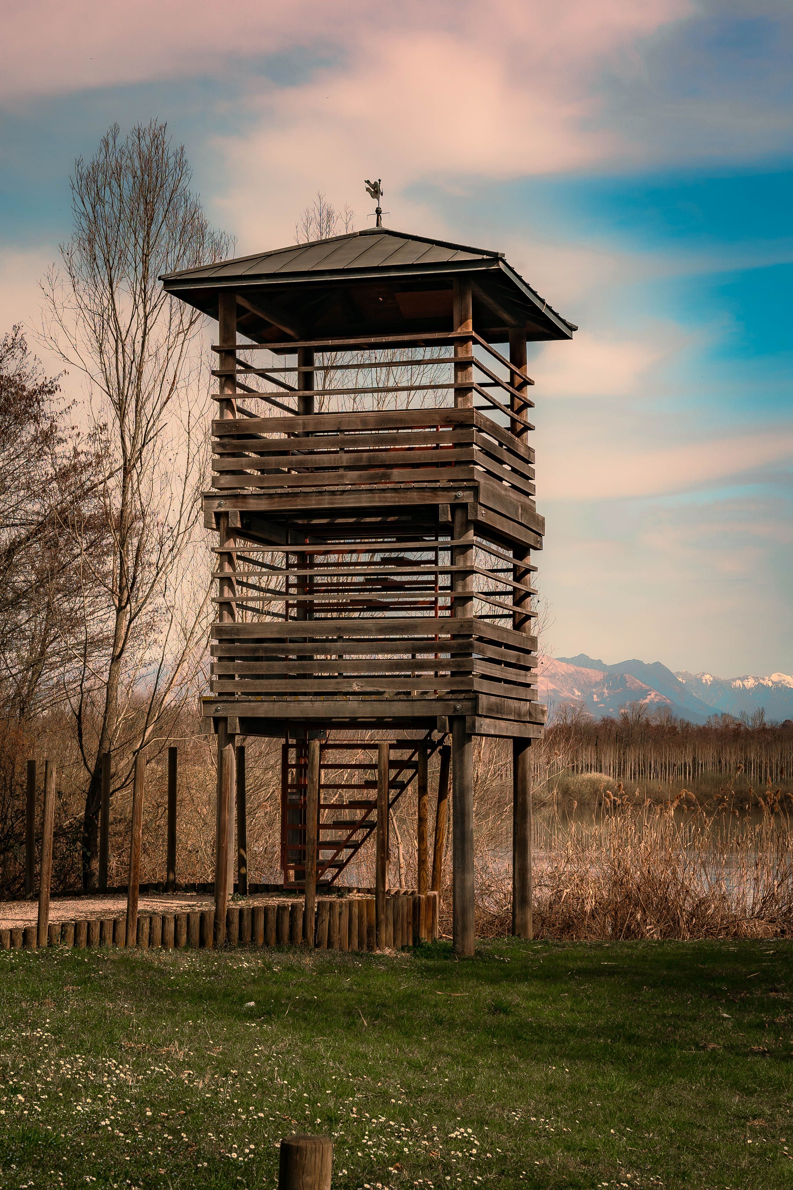 Bird Watching Hide Oostvaardersplassen with a Toddler