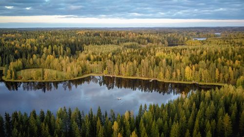 Free Aerial view of tranquil Finnish forest and lake reflecting the sky, showcasing nature's serenity. Stock Photo