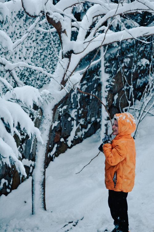 Free A child in an orange jacket enjoying a snowy day beside a snow-covered tree in Istanbul. Stock Photo