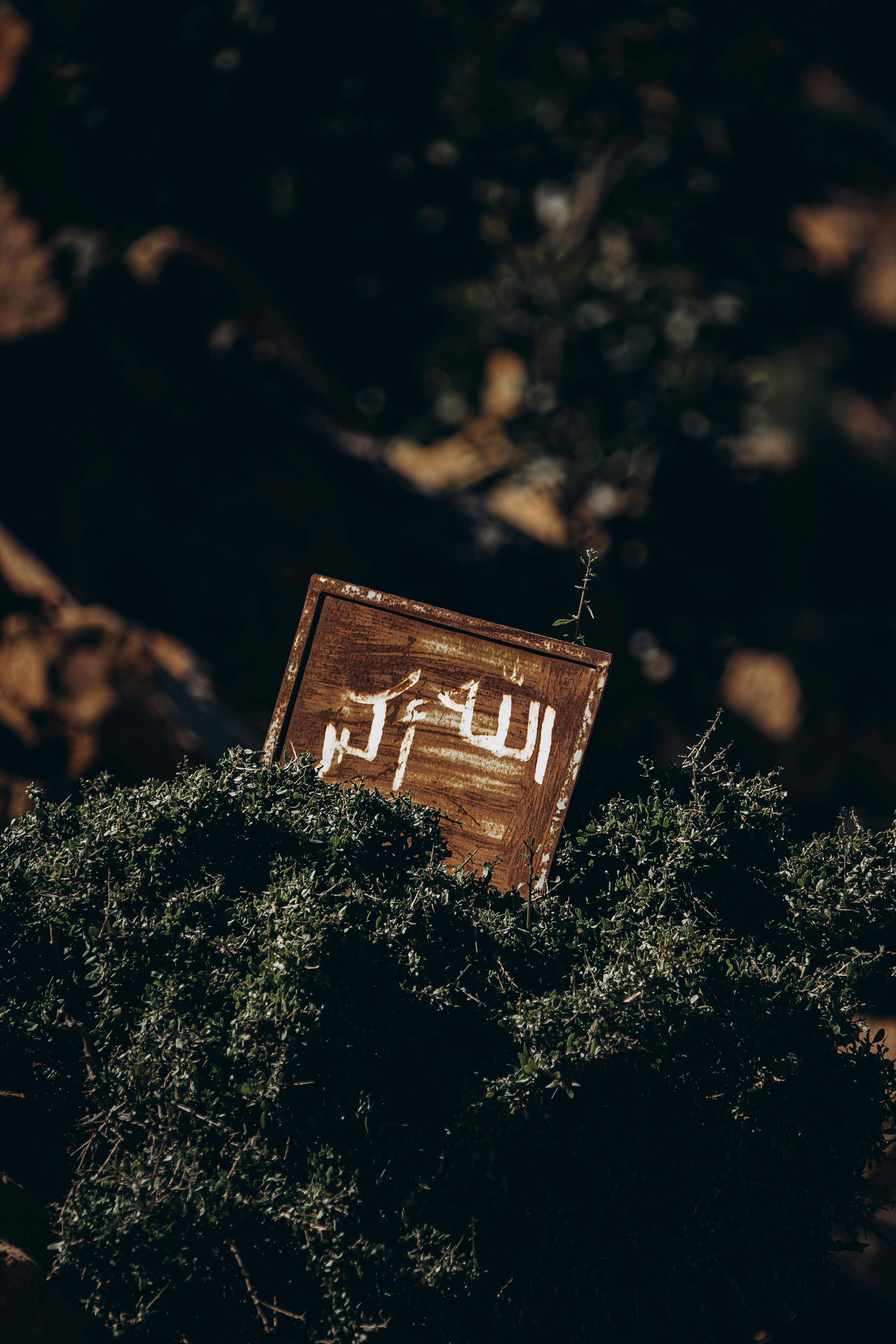 Rustic wooden sign partly buried in Omani desert landscape showcasing Arabic script.