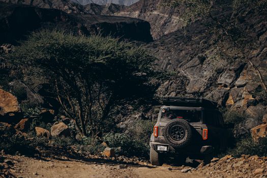 Explore the wild terrains of Oman with this captivating off-road journey into nature's raw beauty.