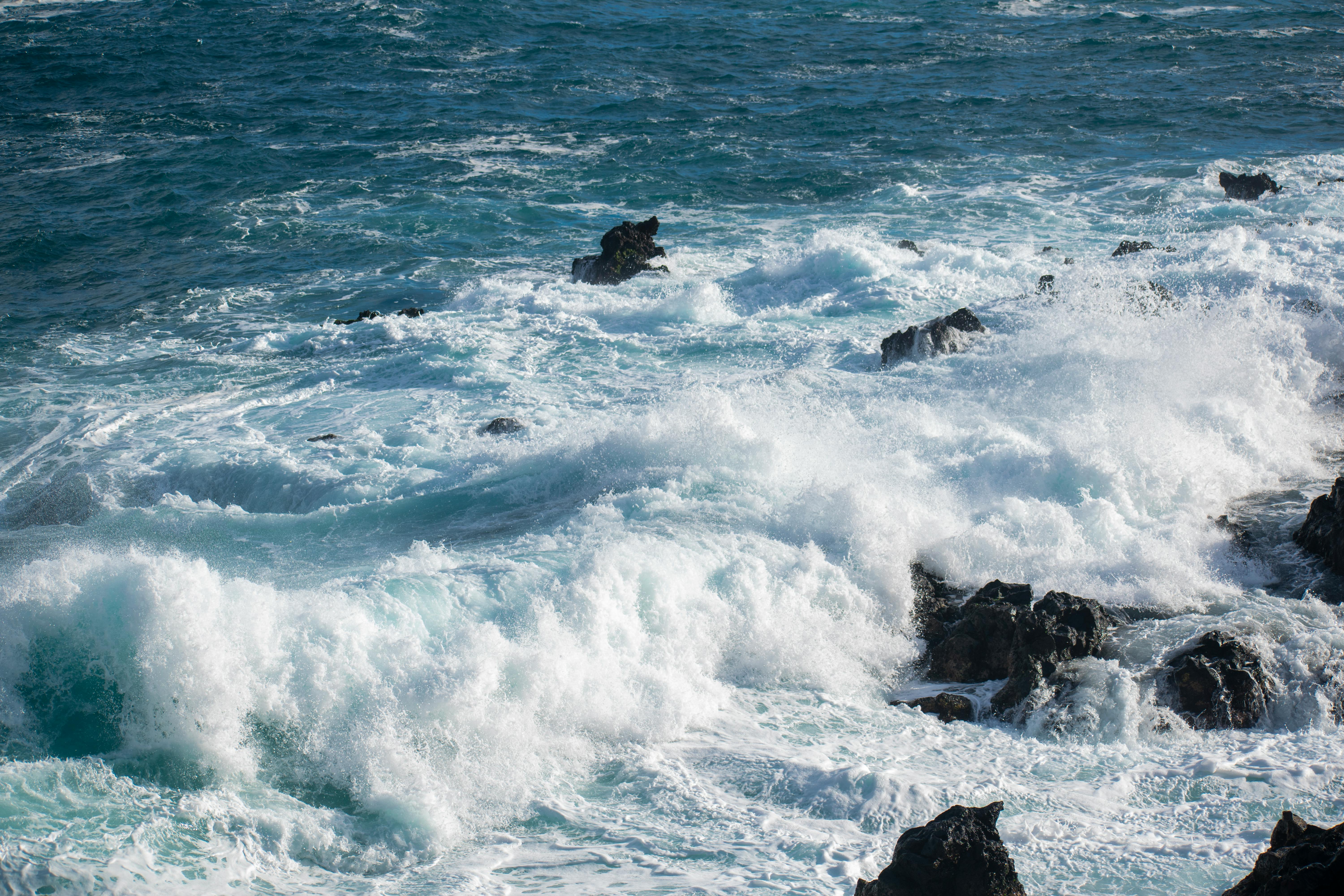 What Is Category 3 Water and Why Is It Dangerous?