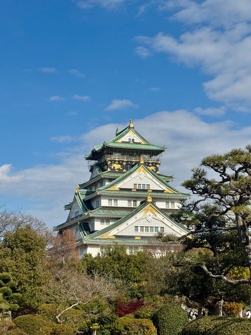Free Stunning capture of Osaka Castle surrounded by trees against a blue sky. Stock Photo
