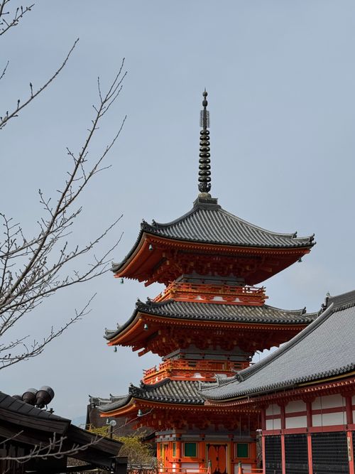 Free View of a traditional Japanese pagoda at a Kyoto temple on a clear day. Stock Photo