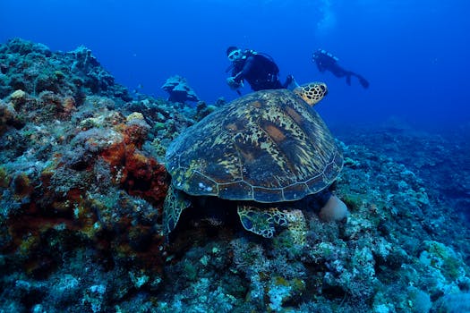 Saipan, Northern Mariana Islands photo 2