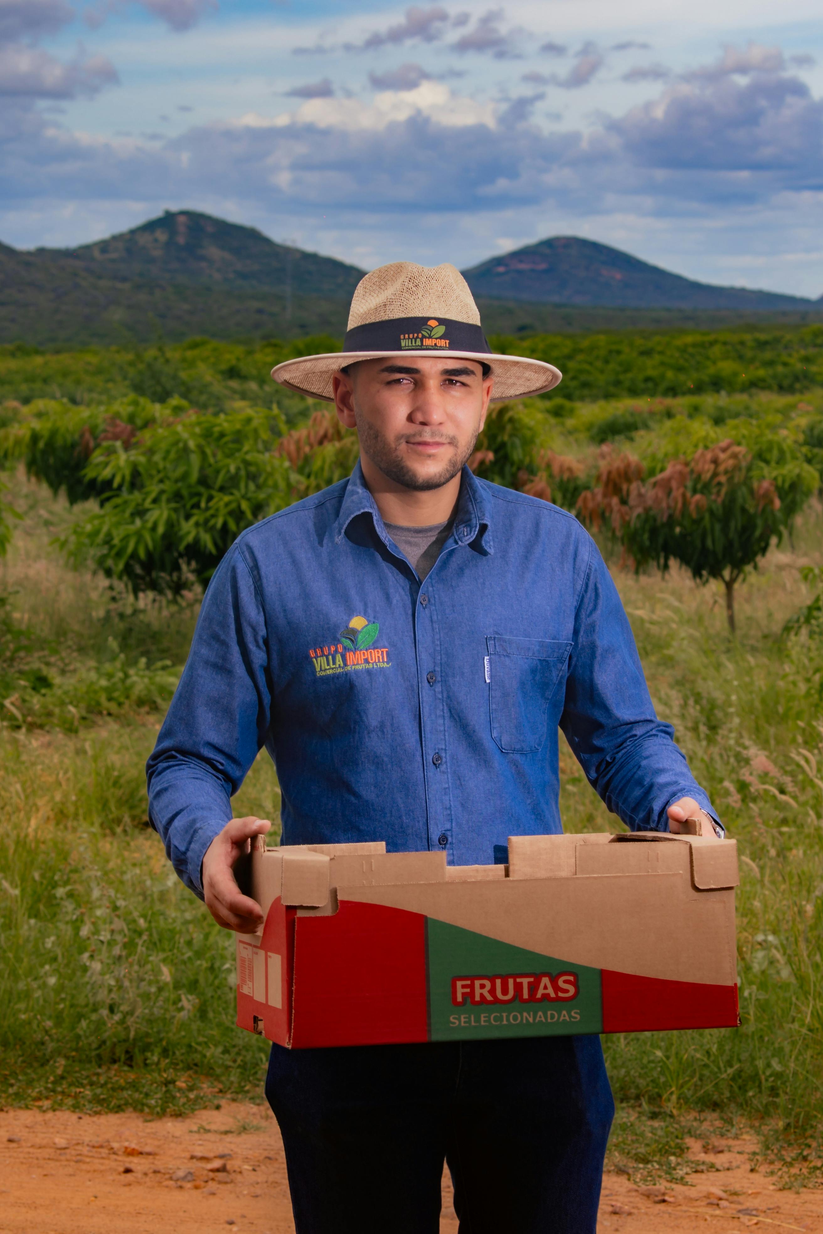 Man in blue shirt holding a box of selected fruits in a lush green orchard with mountains in the background.