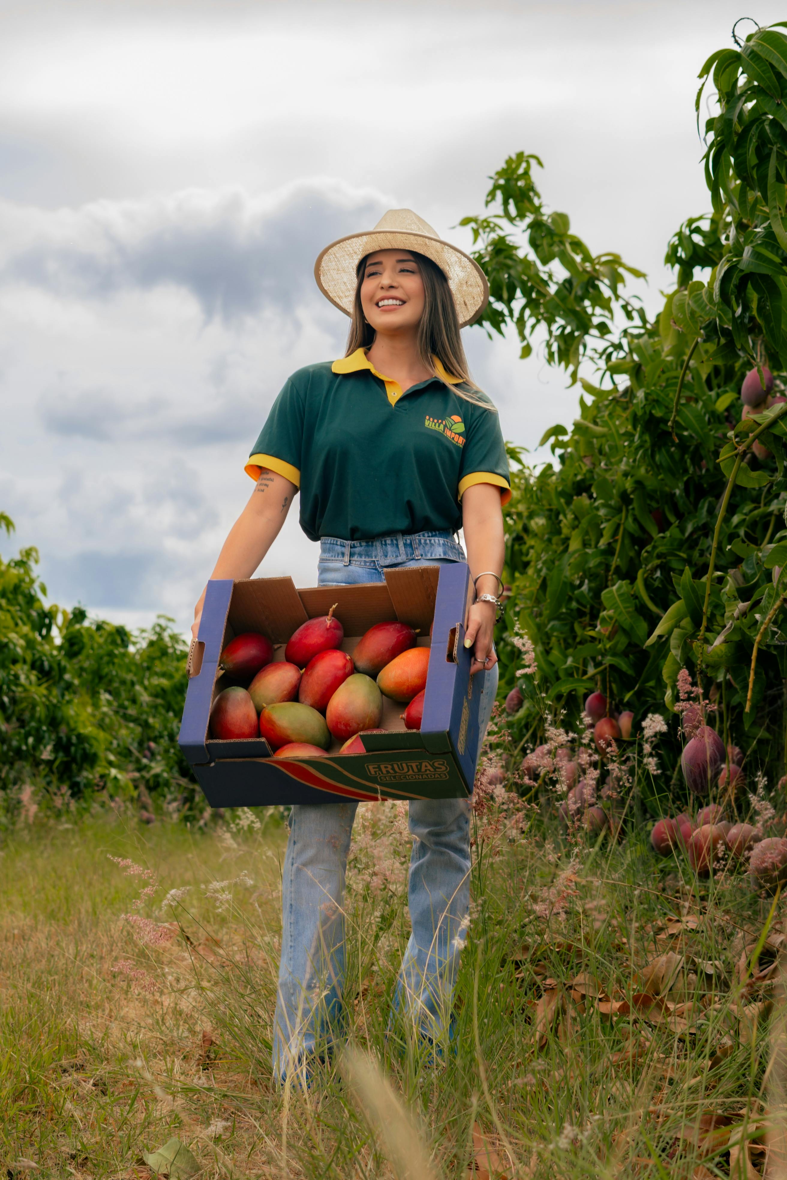 Woman in a straw hat carrying a box of fresh mangoes in a lush orchard.