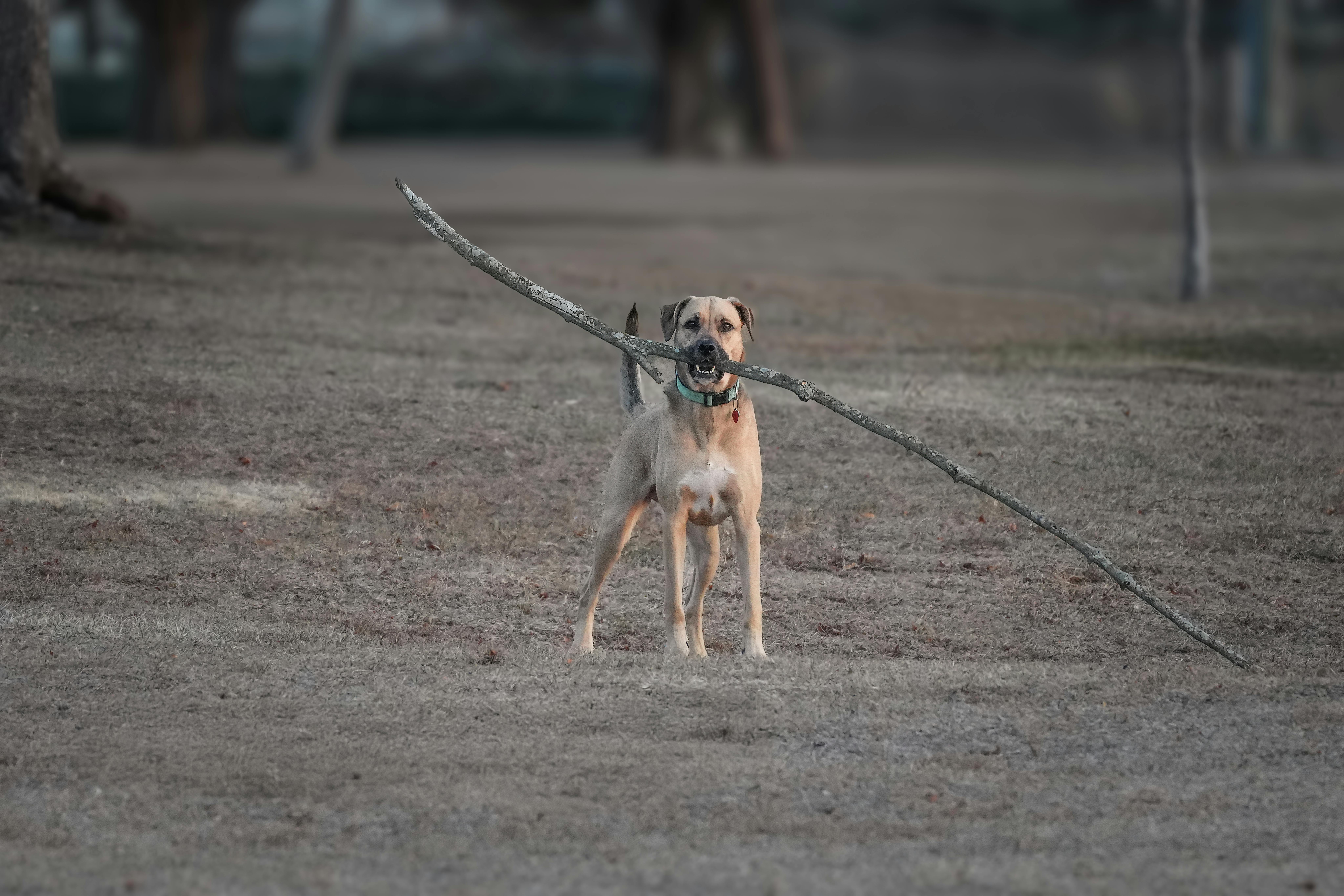 Understanding Ground Penetrating Radar (GPR) for Subsurface Exploration