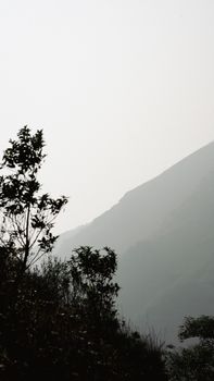 Serene landscape of misty mountains and foliage, capturing tranquil nature.