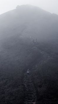 A group of hikers ascend a misty mountain path, creating a mysterious and adventurous scene.