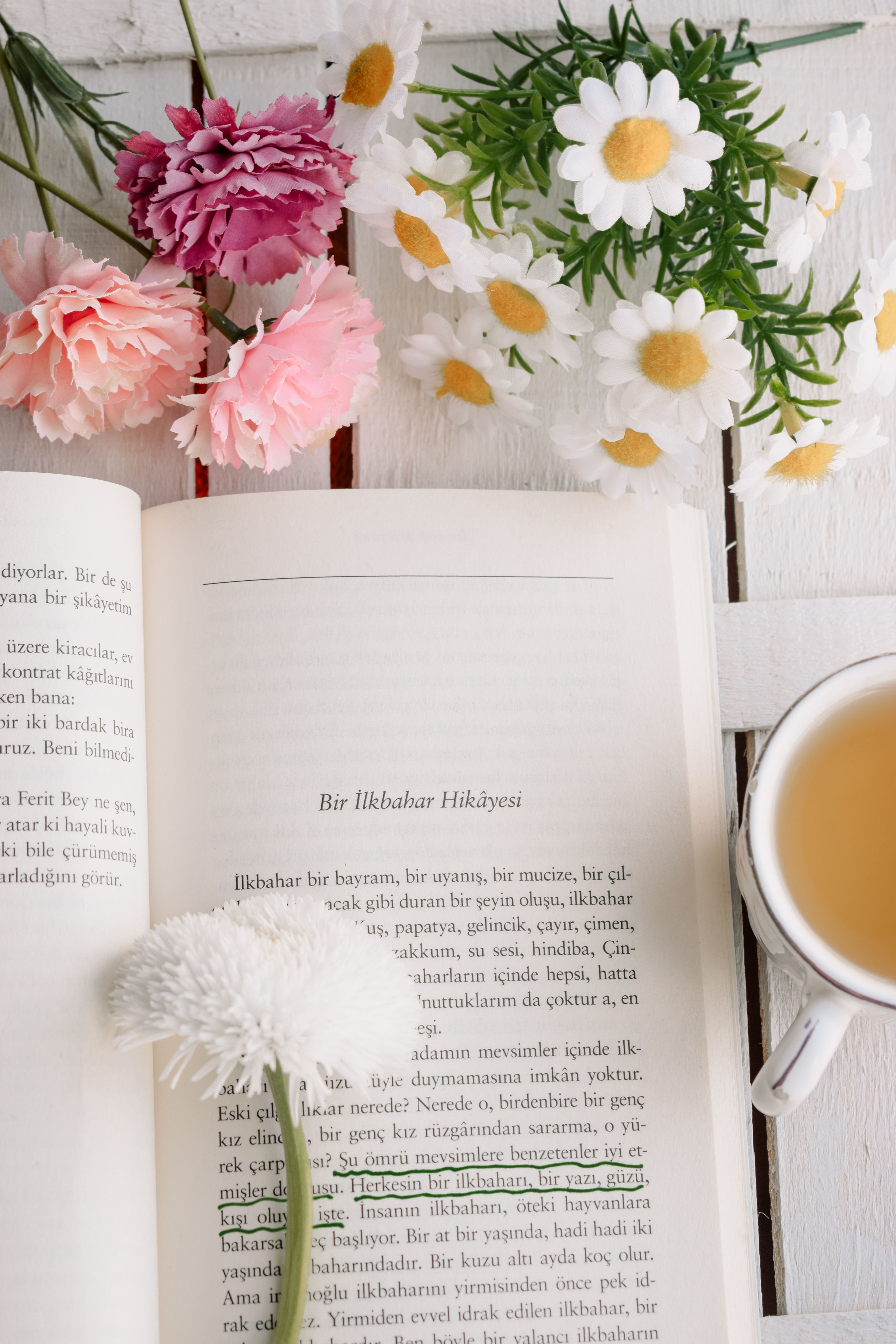 Serene Spring Reading with Tea and Flowers · Free Stock Photo