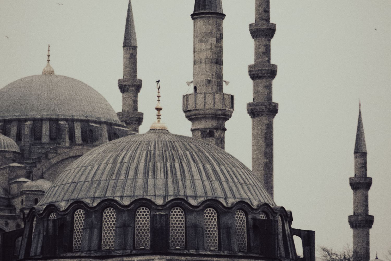 Mosque Grey Grey Mosque Photos, Download The BEST Free Grey Mosque Stock Photos ...