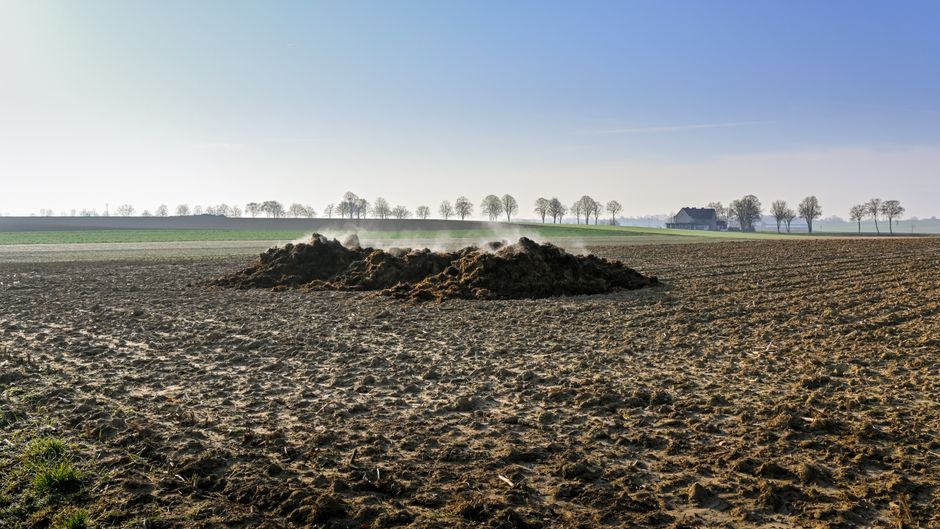 Illustration for Organic manures in Fertilizers and Manures