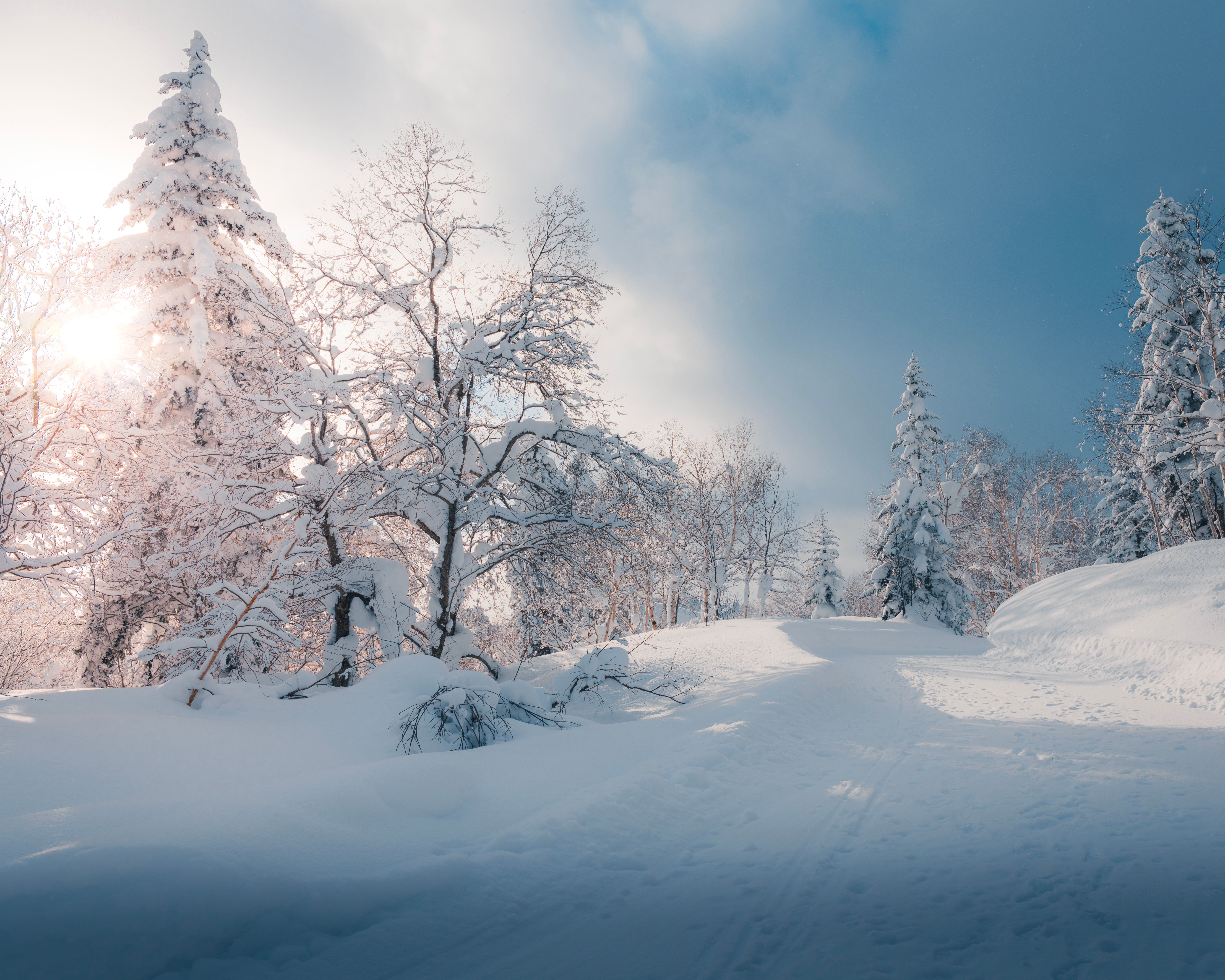 A tranquil snow-covered landscape with sunrise light filtering through the trees.