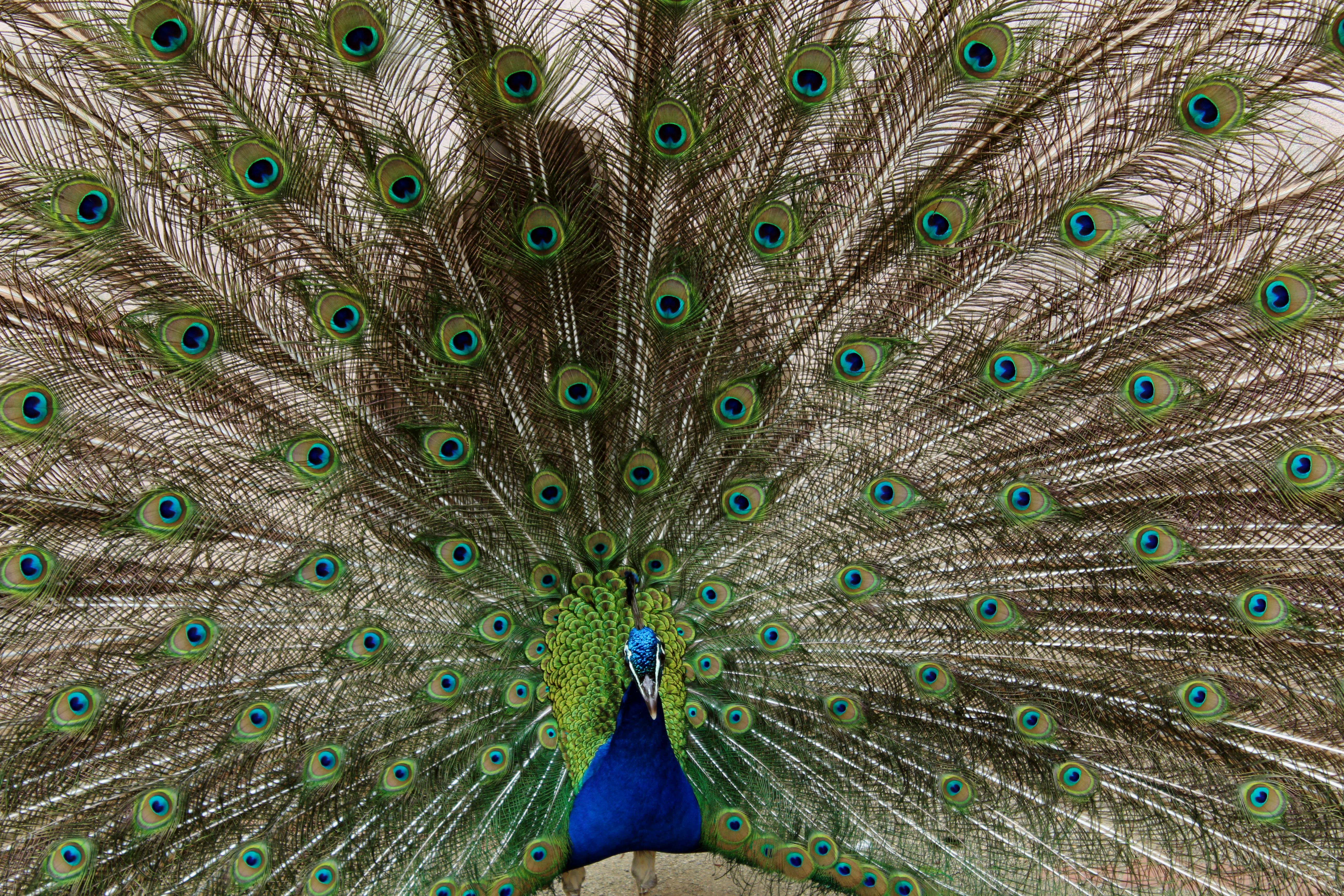 Exploring Prague’s Natural Beauty