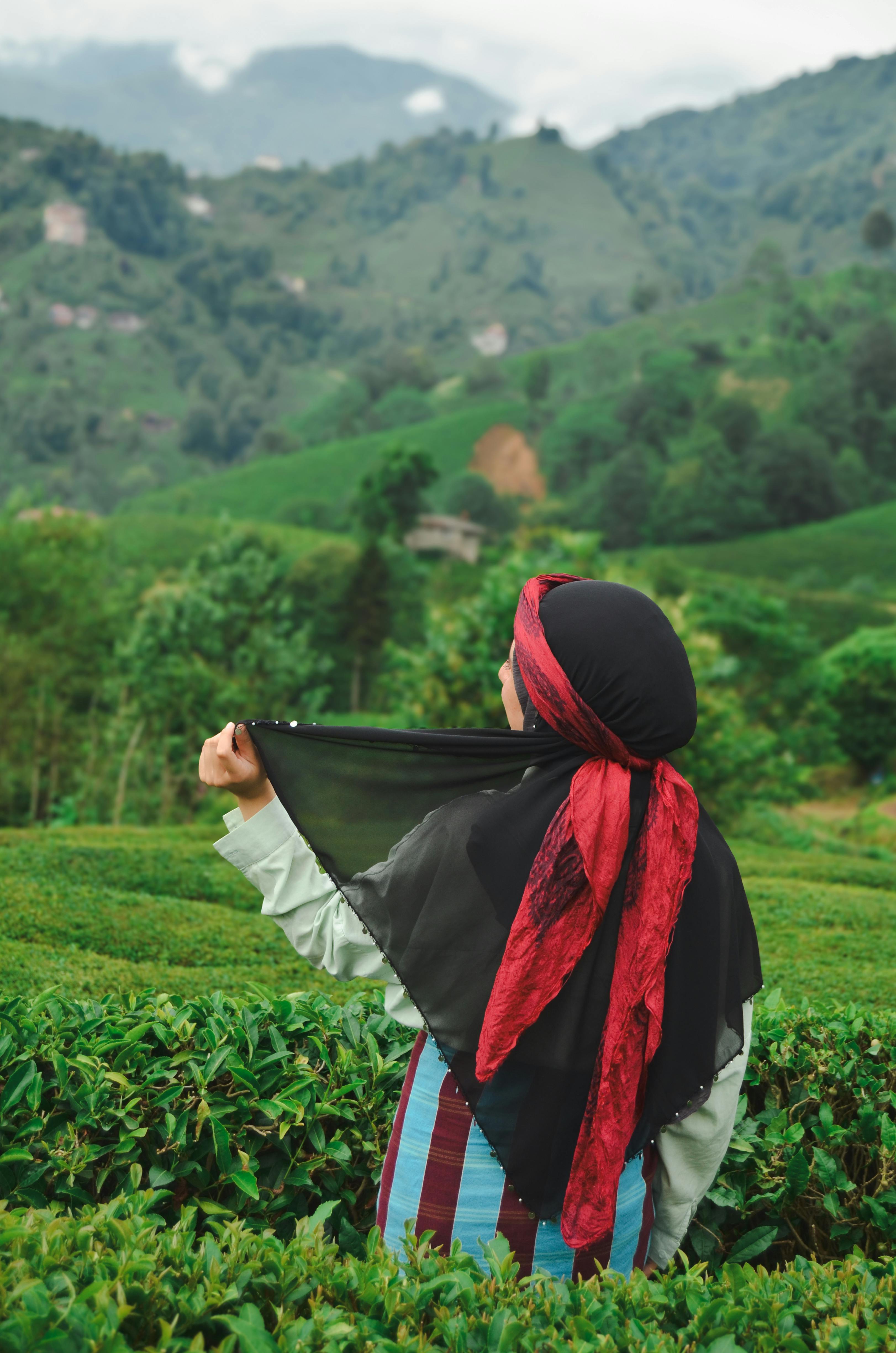 A woman in traditional attire admiring the lush tea plantation landscape.